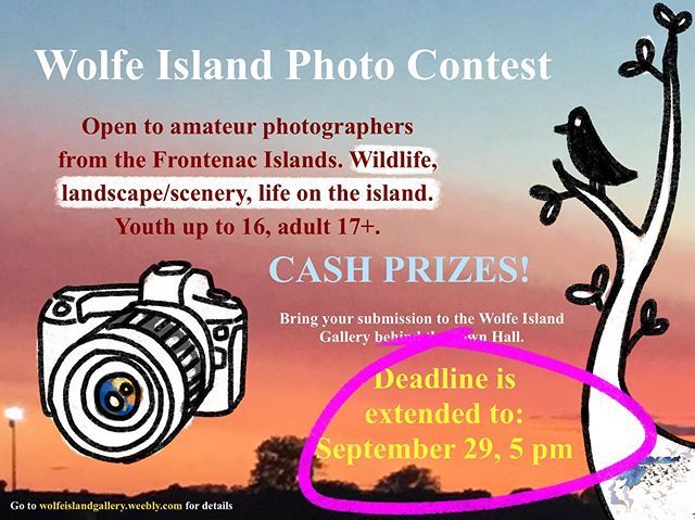 Deadline for the photo contest extended to September 29!
#photography #kingstonontario #canadianart #kingstonphotography #ygk #ontarioart #wolfeisland ift.tt/2UyH7Gw