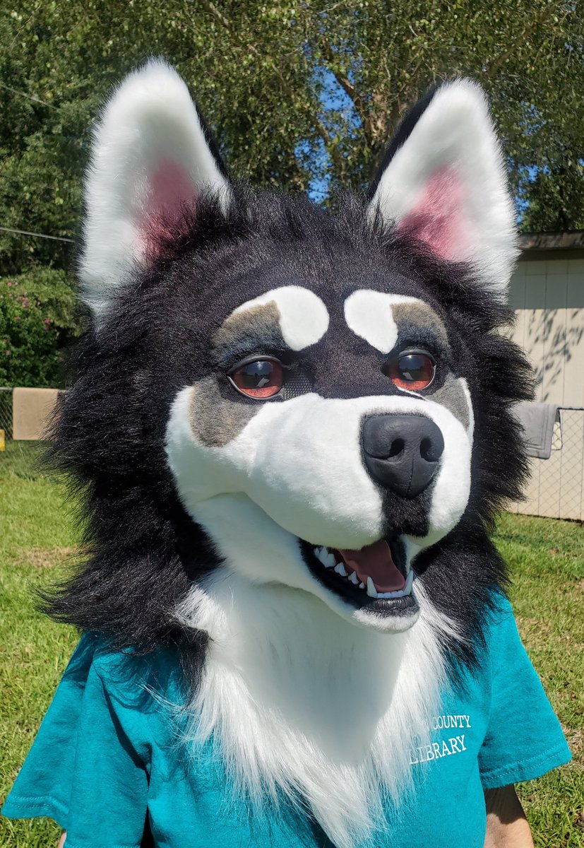 canis_beast's tweet photo. ⭐Quotes Now Open⭐
I'm selecting 2-4 partial, halfsuit, and full projects intended to be completed no later than early 2020 depending on what gets submitted! 
I'm excited to see y'all's critters and will post more of this handsome dog tomorrow :)

Form - https://t.co/W2FbOxuI7i https://t.co/i2yVvDEfqF