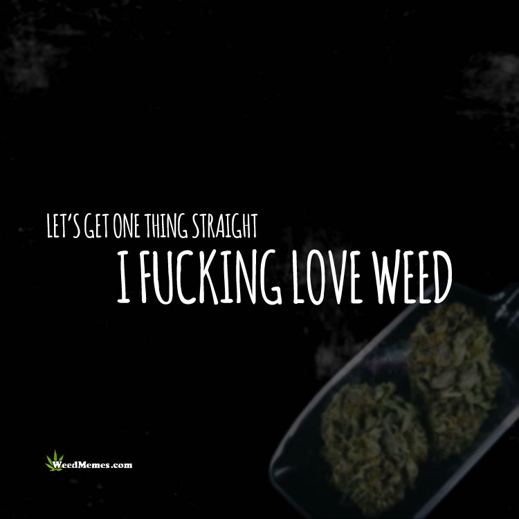 Dab5_at420's tweet photo. I fuckin' love #cannabis.
Anyone else feel the same way? #420Life #StonerLife https://t.co/ynfUY7yO1w