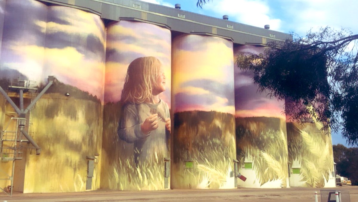 Great day to be looking at crops along the Eyre Peninsula. From Kimba > Cleve > Cowell 🤞🏻🍀 for some more 🌧 <a href="/ellie_clear/">Ellie Clear</a>