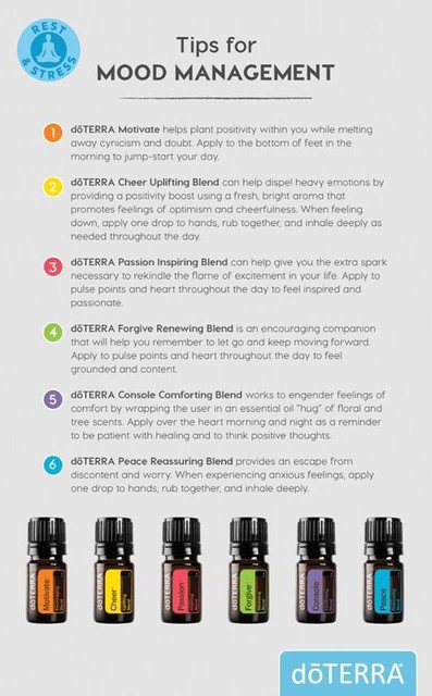 LadylikeMagick's tweet photo. I love concocting potions to support my intentions but when I don't have time, I use one of these beauties.
#ladylikemagick #anenchantedlife #goddesspampering #doterrarocks #naturalessentialoils #doterralove #essentialoillove #essentialoilblends #doterraessentialoils https://t.co/nvTN8ePpjm