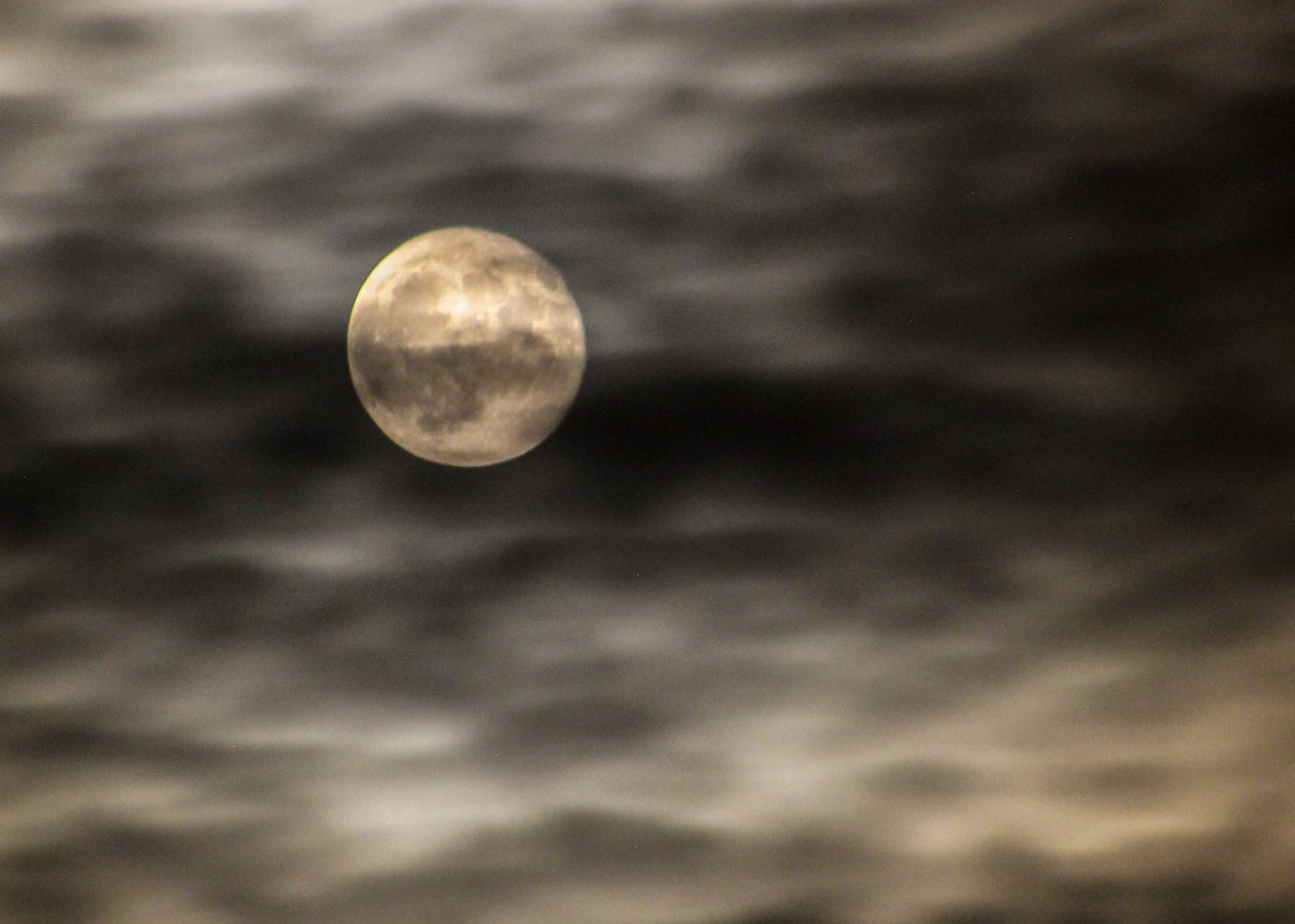 My satellite, are you here tonight?
Shine your light and set me free, 
Take the darkness out of me... 
Shine on me 
#Luna #Moon #nightlight #beautiful #canon #canonrebelsl1 #satellite 
@starsetonline #Starset