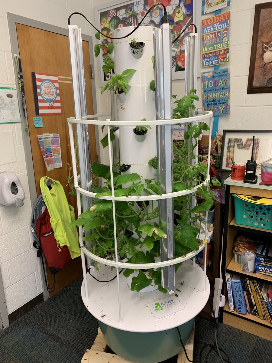 Our mystery tower garden is looking great! Mystery—what is growing —7 layers? So much discussion generated each day! #whatdonotice #whatdoyouwonder @EVSC1 @EVSC_Foundation @dailystem