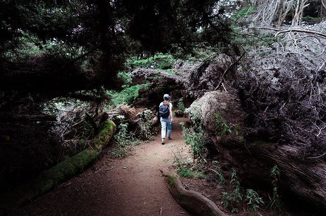 Enjoying some time in the trees. ift.tt/2ZMIuGp
