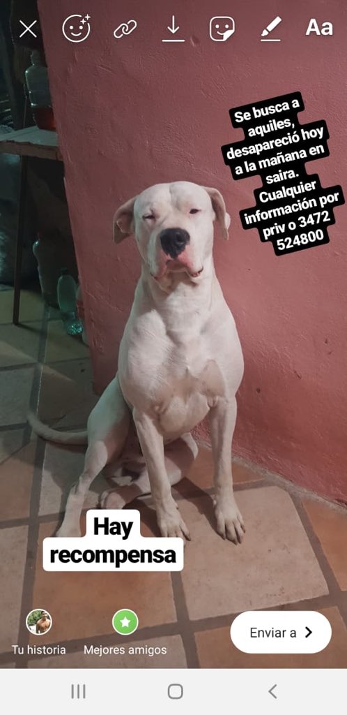 EmilceNitardi2's tweet photo. Ayuden a compartir 🙏 @brunocapra9 https://t.co/B3Hor1kM0J