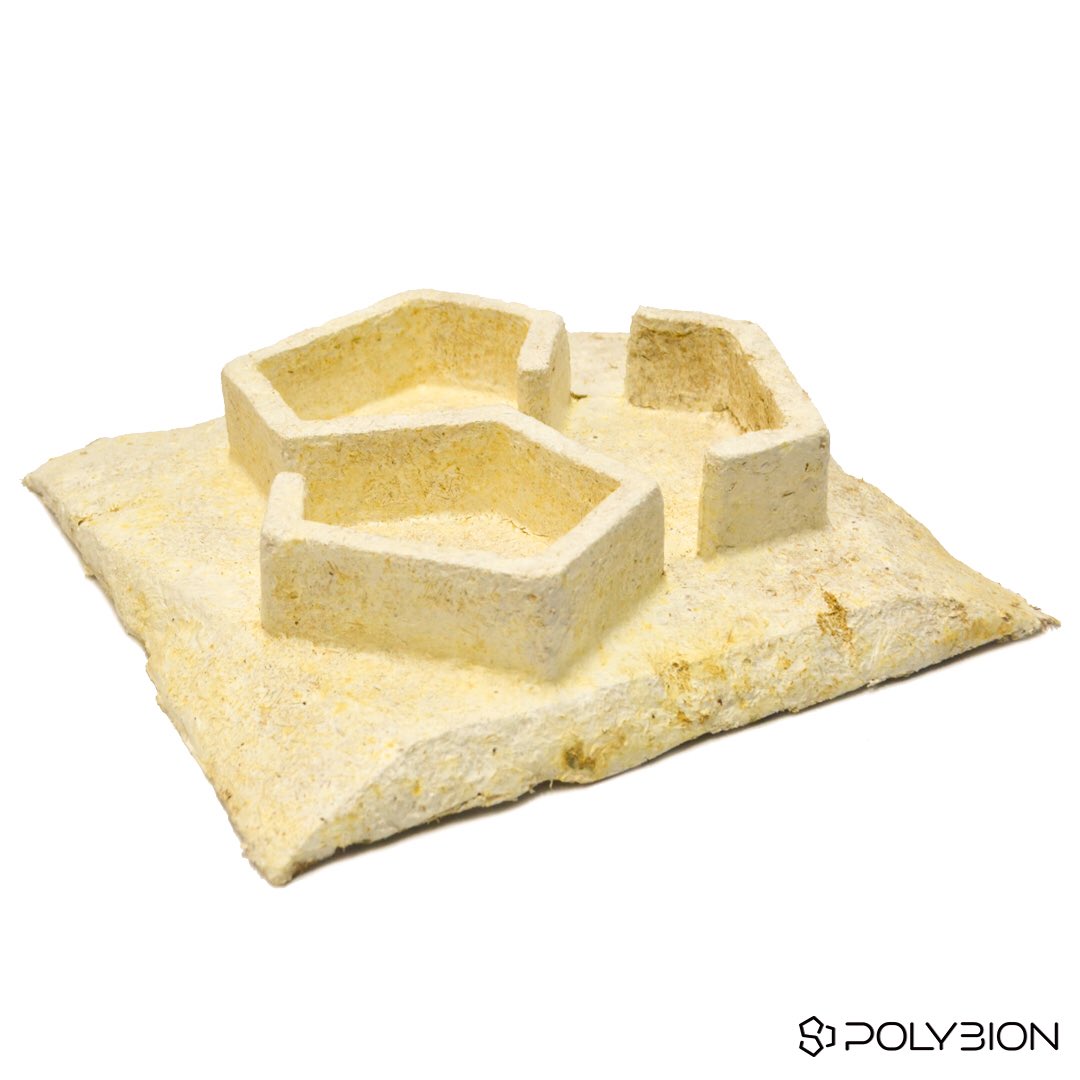 BionPoly's tweet image. GROWN-NOT-MADE.

 #Bioneros #Bioneers #designpackaging #vape #SM #guanajuato #escalabilidad #ecofriendly #fungicel #ecopackaging #circulareconomy #fungifanatic #packagingideas