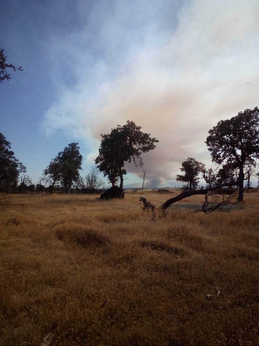 IgoGrid's tweet image. #RedBankFire @IgoGrid