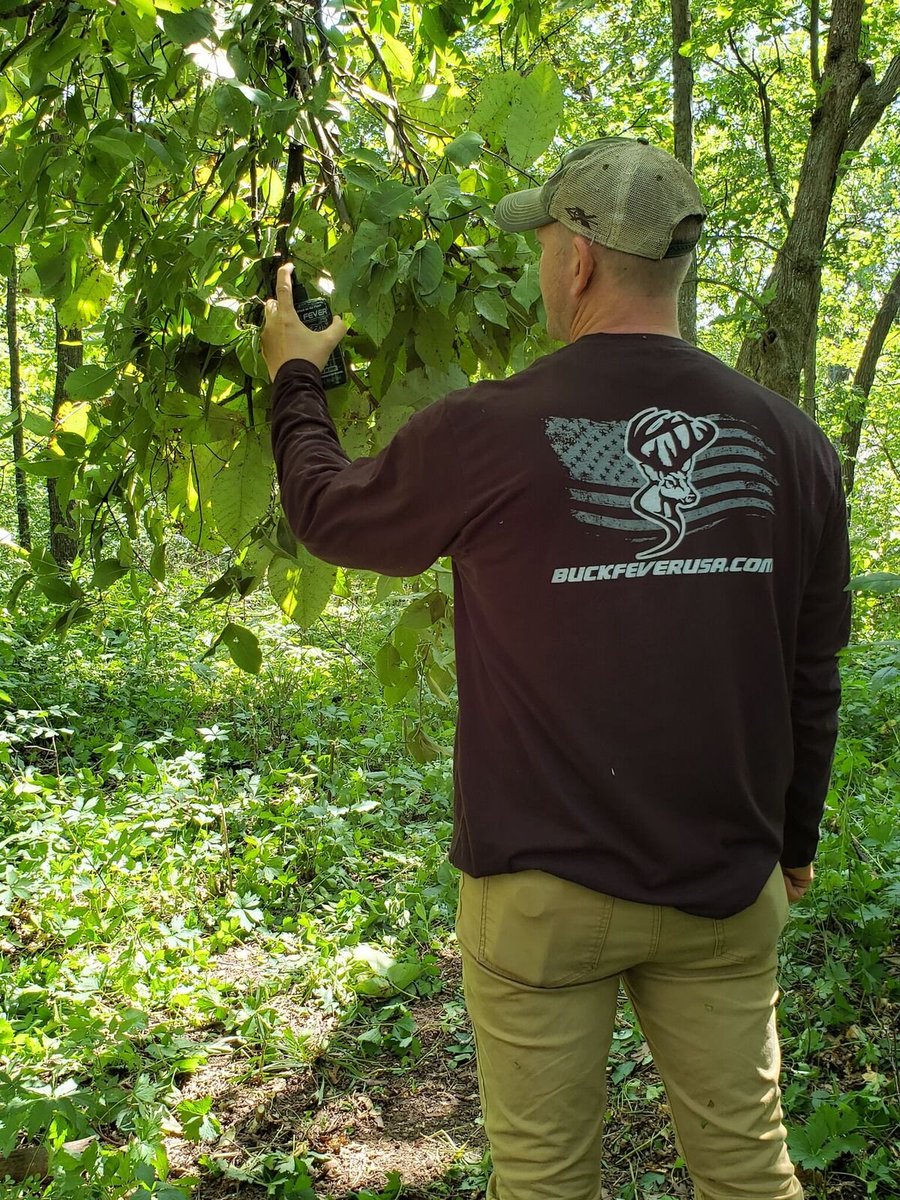BuckFeverUSA's tweet photo. Scrape Season is in full swing! @BuckFeverUSA @deerhuntingmag #hunting #HuntingSeason #deerhunting #bigbucks #whitetails https://t.co/I0eSWs3pVf