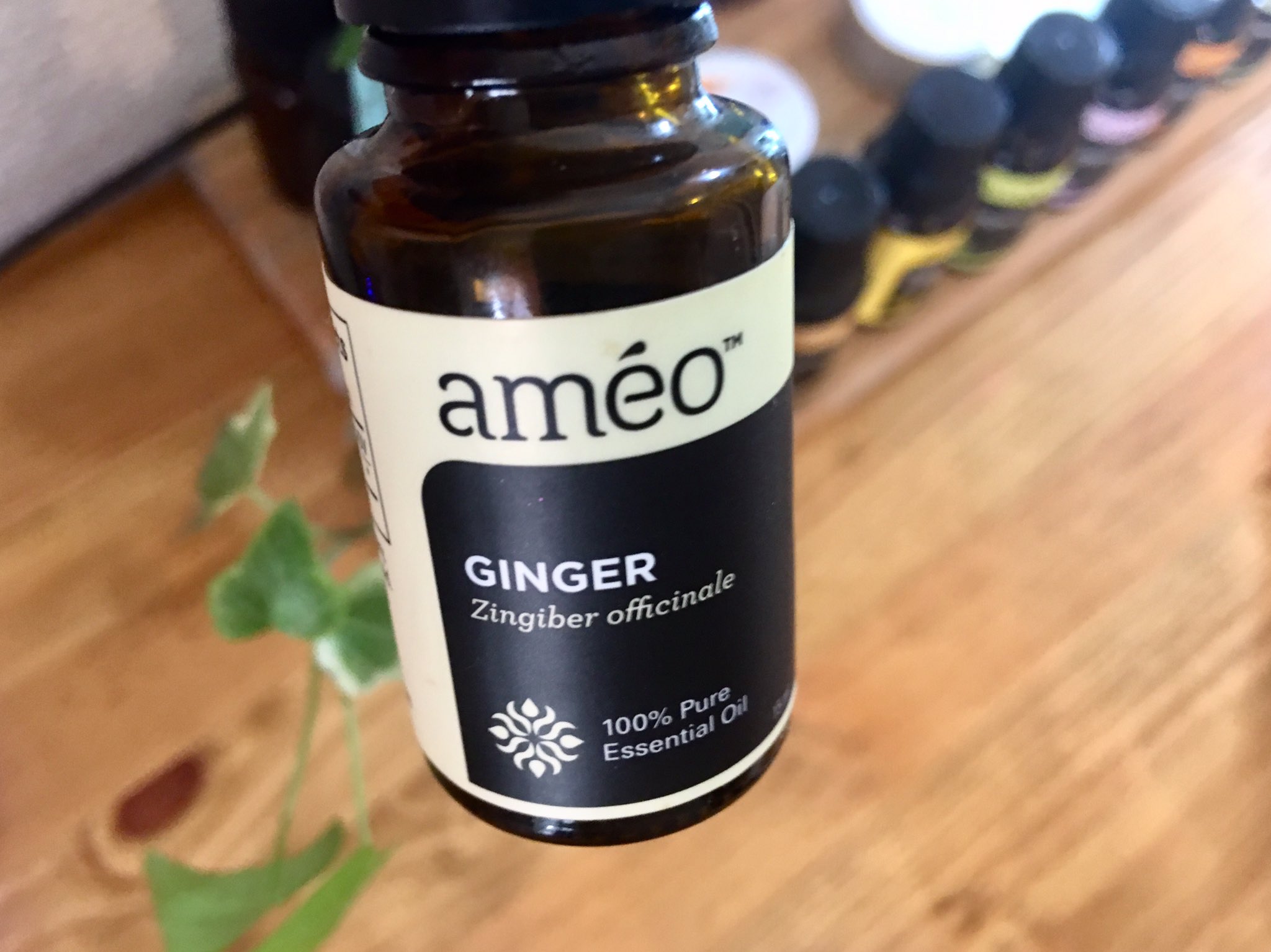 スチーム温浴まざーりーふ よもぎ蒸し スチームハーブテント 94yc1b Twitter