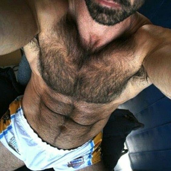 pijafeliz's tweet photo. Pecho de hombre Cual preferís? | Men's chest. Which one do you prefer? #PechodeMacho #MachoChest #HombresMH #MHMen #ChongoMH #MHHunk @Mirada_H @danielsur https://t.co/RVzPq00pYZ