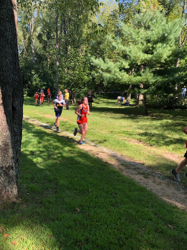 bridgmanxcandtf's tweet photo. @rms_bees A few more. https://t.co/oplptpfwIj