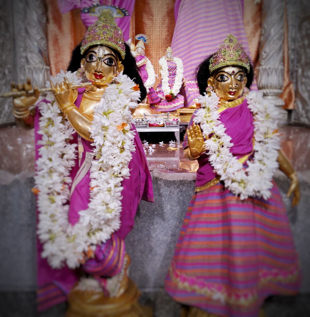 #Mangalarati #blessings from Their Lordships Sri Sri #RadhaKrishnachandra on the occasion of #Radhashtami! #radheradhe!!!🙌🙌🙌🙏🙏🙏
#IskconBangalore #IskconTemple #RadhaKrishnaTemple #HareKrishnaTemple #HareKrishna #TemplesInBangalore #KrishnaLife #ISKCON