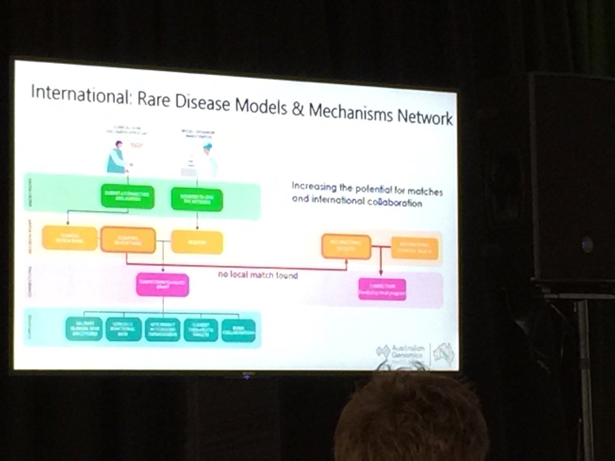 swanaus's tweet photo. #AndrewSinclair shares the importance of #FunctionalGenomics and databases. These structures are so important in diagnosing more #SWANaus families. #AusGenimics2019 #RareDiseases #diagnosis https://t.co/HQqA6BidtJ