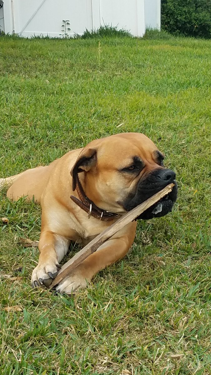 Carter MacDowell tweet media