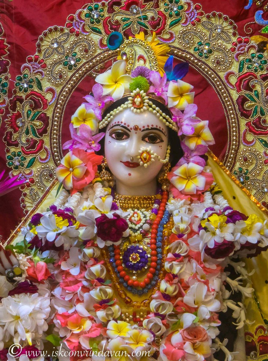 GoalsAnna's tweet image. 💕 बरसाने बजत बधाई कीरत ने लाली जाई 💕
❤️ आ गया वैकुण्ठ सारा तेरे बरसाने में है ❤️
श्रीराधाअष्टमी (लाडिली जी के जन्म) की अग्रिम बधाई हो
जय जय श्रीराधे 🌹🙏🏼🌹