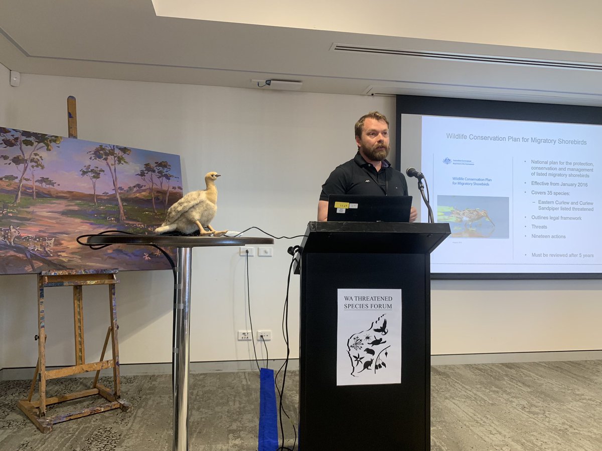 Mark Carey from the Department of the Environment and Energy walking us through developing #NationalRecoveryPlans and #WildlifeConservationPlans for #threatened and #migratory species at the #TSForumWA. Mal looks pretty happy to hear about it too! #Malleefowl