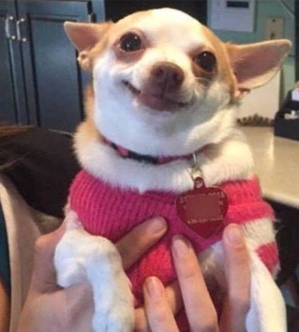 5Dubuu's tweet image. Hey you there yes you can you check out @TeamSpeed9  please and thank you