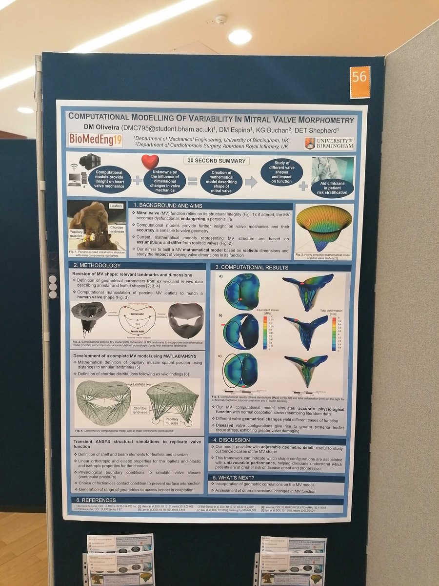 diana_mco's tweet photo. Super excited for the second day of #BioMedEng19! Happy for taking part in such a great meeting. Make sure to pass by poster 56 to find out more about how mitral valve modelling can impact in people's lives! @UoB_BioEng @IMeche_BmED @SchoolofEng_UoB @eps_unibham #cardiotwitter https://t.co/swyS3hZNIA