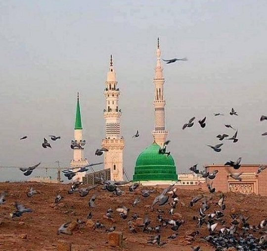 na_saym's tweet photo. " الحب .. هو ثوبان حين يسأله الرسول ﷺ: ما غير لونك؟
فيقول: ما بي مرض ولا وجع يا رسول الله .. غير أني إِذا لم أرك اشتقت إِليك، واستوحشت وحشة شديدة حتى ألقاك" ..

اللهم صل على نبينا محمد وعلى آله وسلم .. صلاة وتسليماً دائمين مباركين عاطرين إلى يوم الدين https://t.co/6ZzpWMFupM