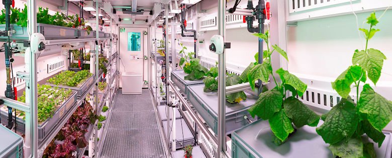 Presentan en Alemania el invernadero espacial para cultivar hortalizas en Marte y la Luna 🚀🍅 hortoinfo.es/index.php/8455… ▪️ <a href="/Hortoinfo2/">Hortoinfo</a>