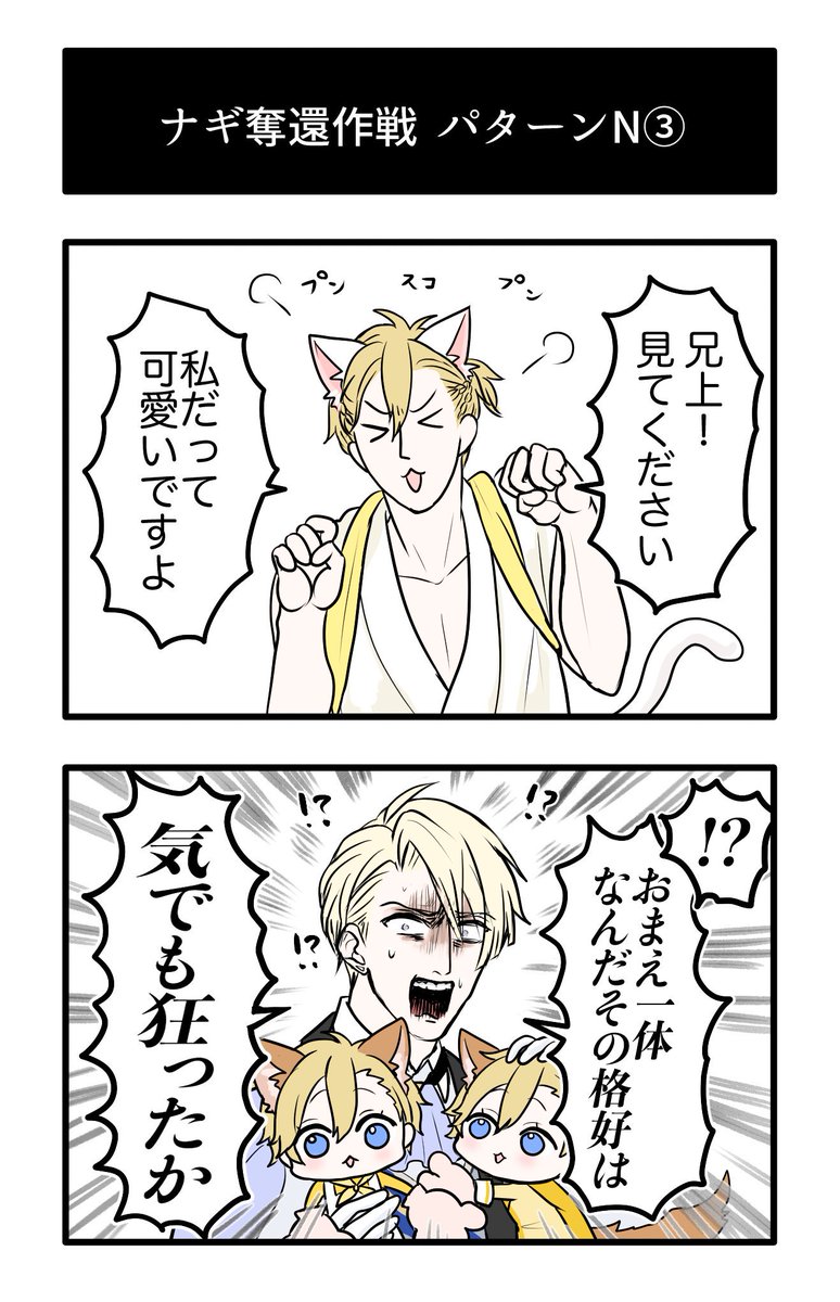 ナギ奪還作戦 パターンN その3 