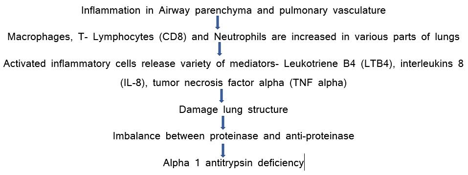 swostik_devkota's tweet photo. COPD (Chronic Obstructive Pulmonary Disease): Introduction, Clinical Features, Diagnosis &amp; Management https://t.co/rFbVSwn6MI https://t.co/h8kURJ1QsS