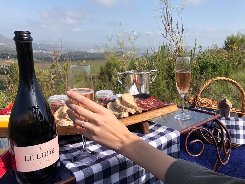 With a glass of Le Lude riding on a positive answer, we can’t blame Mia Engelbrecht for saying yes when Matthew Anderson popped the question! 
#LeLude #MCC #Franschhoek