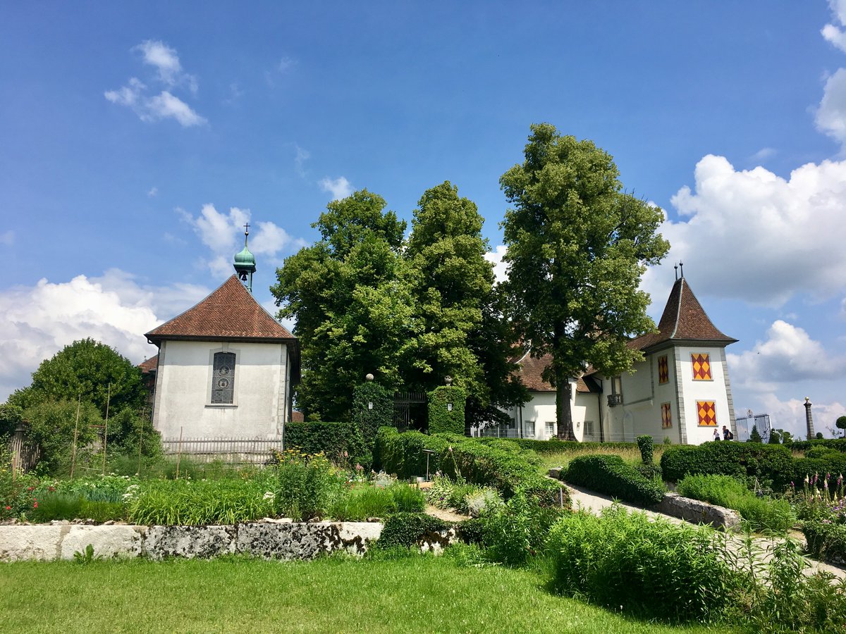 KantonSolothurn's tweet photo. Die andere #Führung – Entdeckungstour auf #Schloss #Waldegg
https://t.co/2dsnqi5TH8 https://t.co/41QhvpnvXX