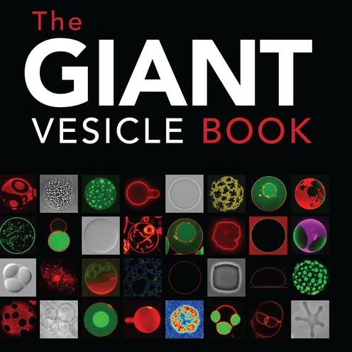 DimovaLab's tweet image. Check/retweet the press release "A model takes shape" for The Giant Vesicle Book of @CRCPress edited by Rumiana @DimovaLab & Carlos @MarquesLab
bit.ly/2klbN0f
