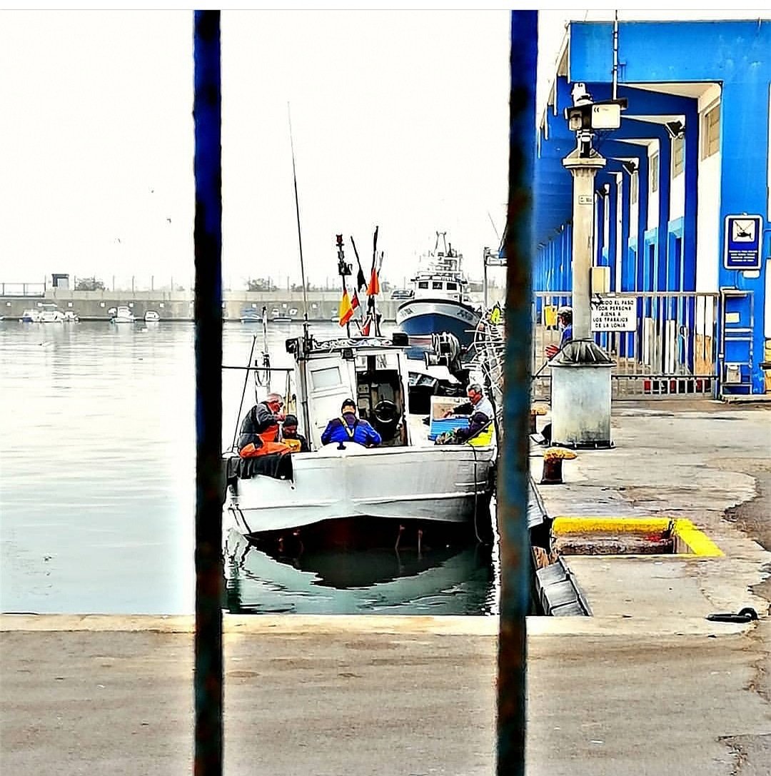 portcastello's tweet photo. Buenos días desde #Portcastello
Bonita imagen de @nachovicent
#Portdecastello #puertosdelestado #puertodecastelló #fotografiaartistica #fotografia #Castello #Grao #ComunidadValenciana #igers #igerscs #igersspain #picoftheday #pics #Mediterranean #mediterraneo https://t.co/3XHuKh4zRF