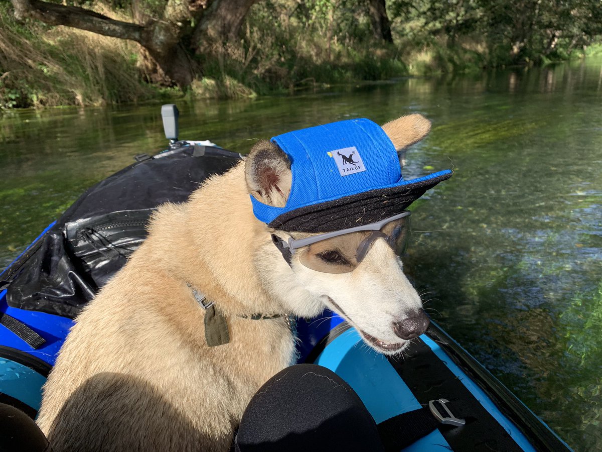 わんこと車中泊 風車を眺めながらゆったりのんびり川下り 今日のむぎ のんびり パックラフト 川下り いい景色 雑種犬むぎ T Co Enhjbbvnxk Twitter