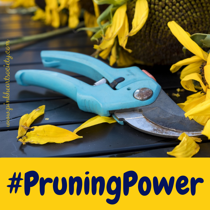 pinkhearter's tweet photo. Does overall busyness interfere with your creativity? Whilst enjoying #RWAus19, @KaliAAnthony wondered whether taking a pair of secateurs to your life might be necessary... #pruningpower #writingcommmunity #amwriting https://t.co/RTe2oOTo1B https://t.co/lMorWMyxwN