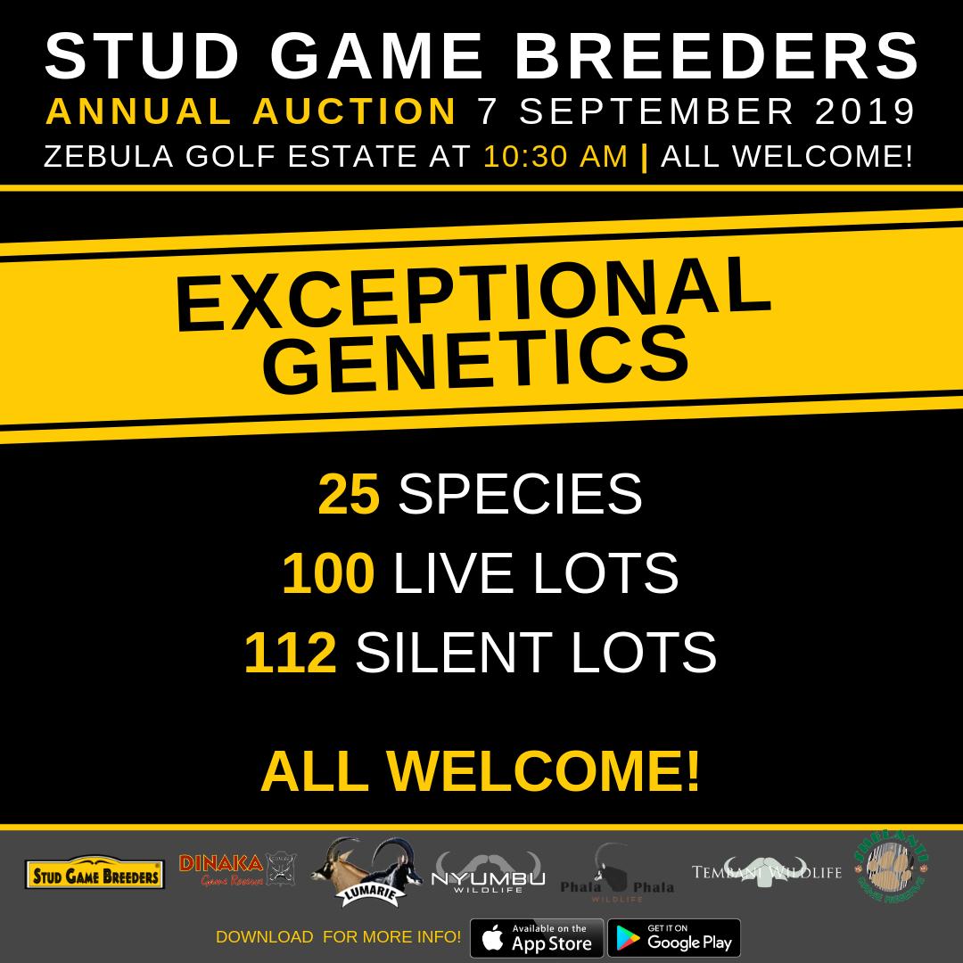 Stud Game Breeders tweet media