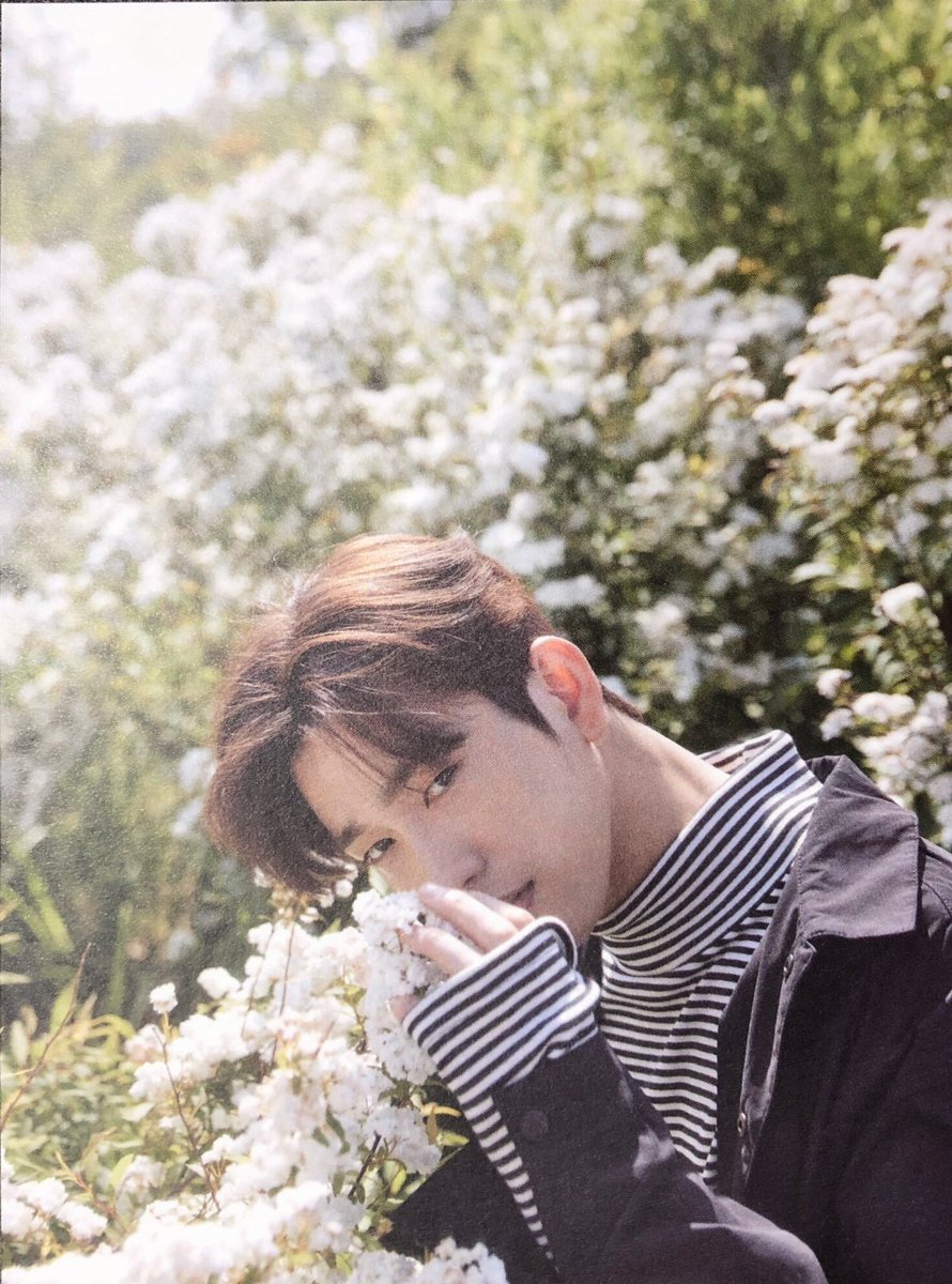 parkkgae's tweet photo. unreal https://t.co/lYkiOvg6FR