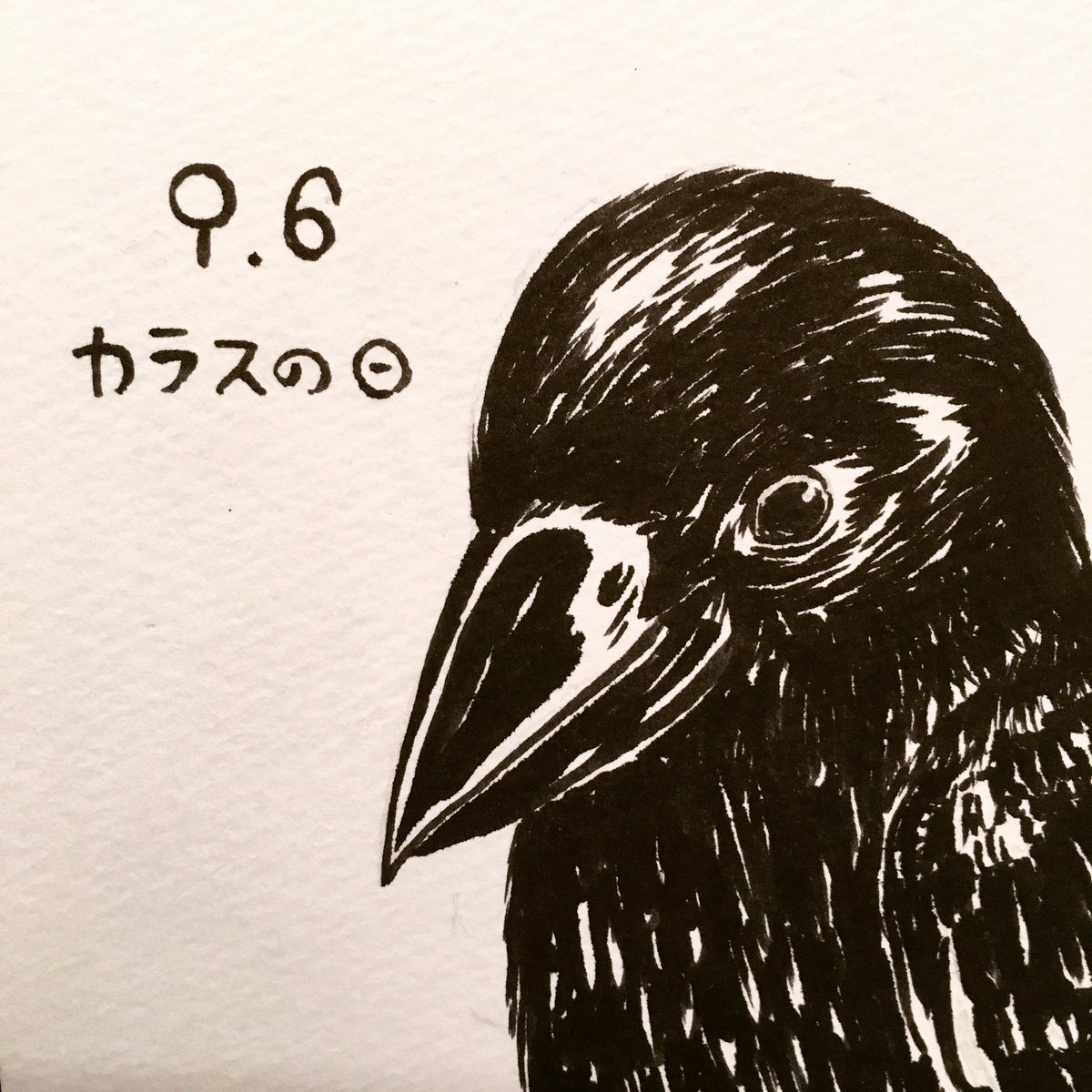 第7回 カラスの日だよ カラス祭り 19 2ページ目 Togetter