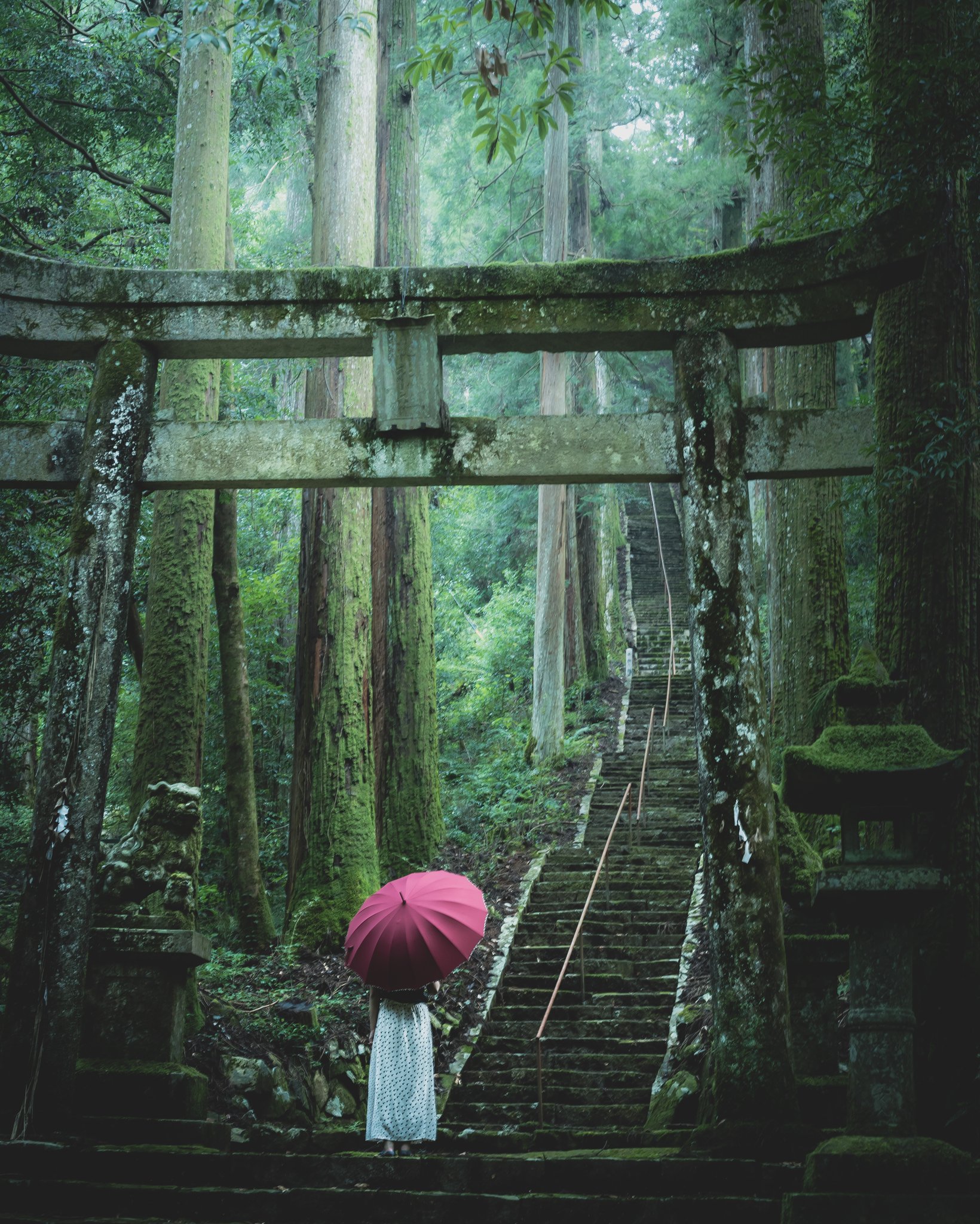 岐阜聖地巡礼者 Ksg World 6t71fnn5x6d05x4 瀧神社が神秘的で美しい 最初ツイがちらっと見えた時に奥行きや神秘的な感じから上色見熊野座神社かと思ってしまいました Twitter