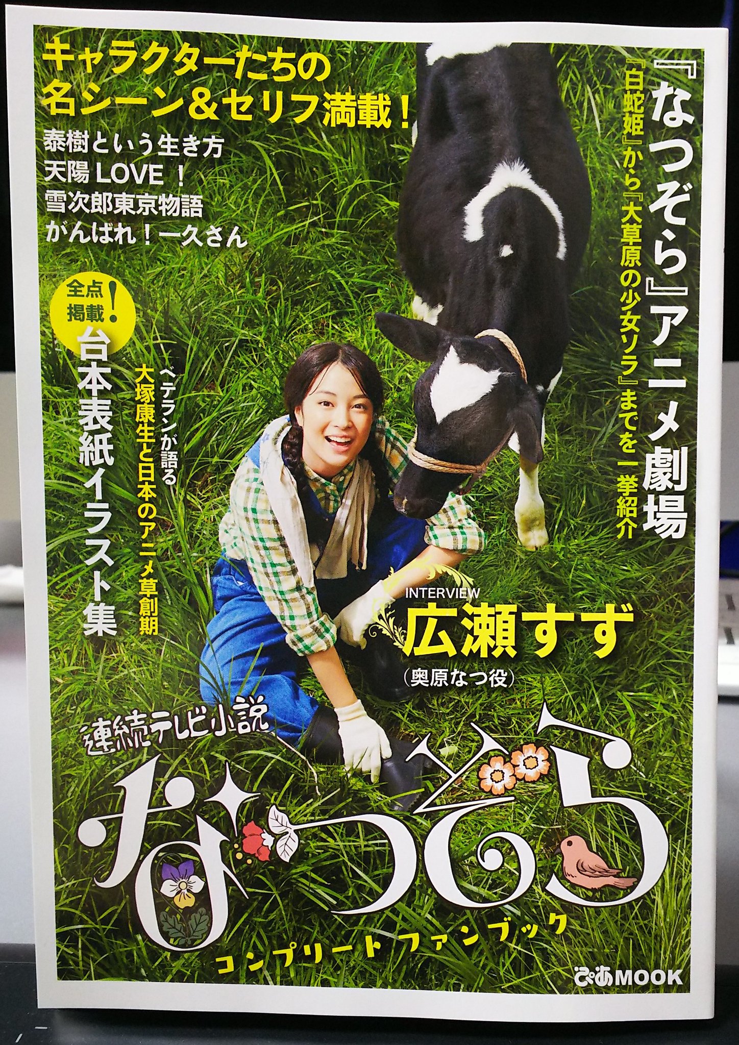 新宿スワン 劇場用ポスター 特大 非売品 話題の人気 劇場用ポスター 新宿スワン 特大 邦画・日本映画