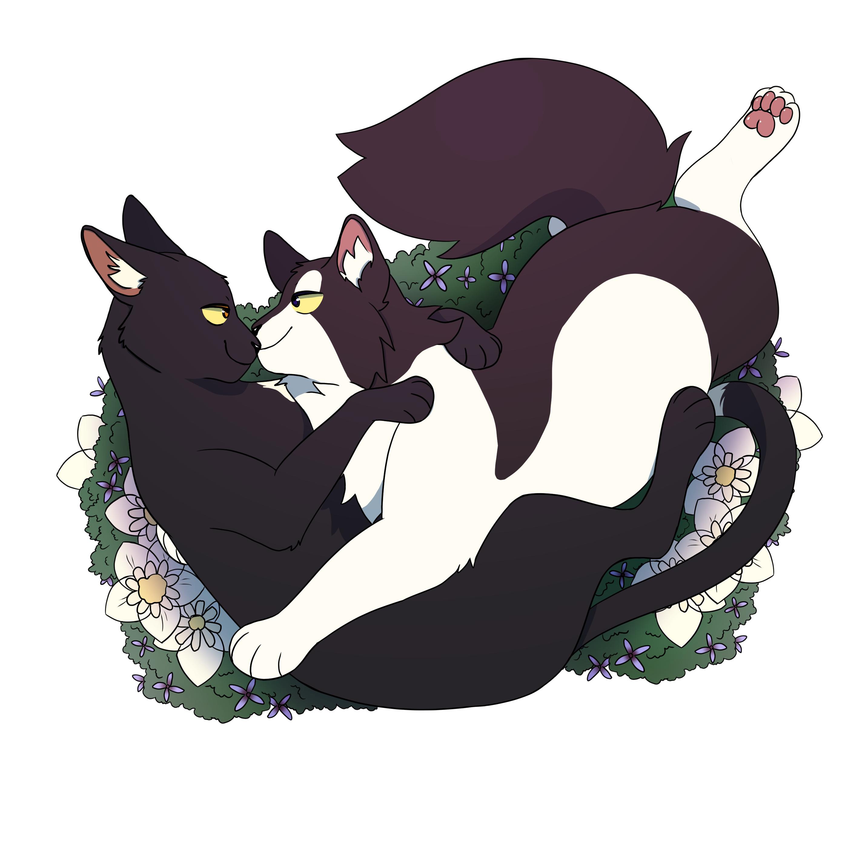 I drew Ravenpaw and Barley for Valentines Gay 💕💕 : r/WarriorCats