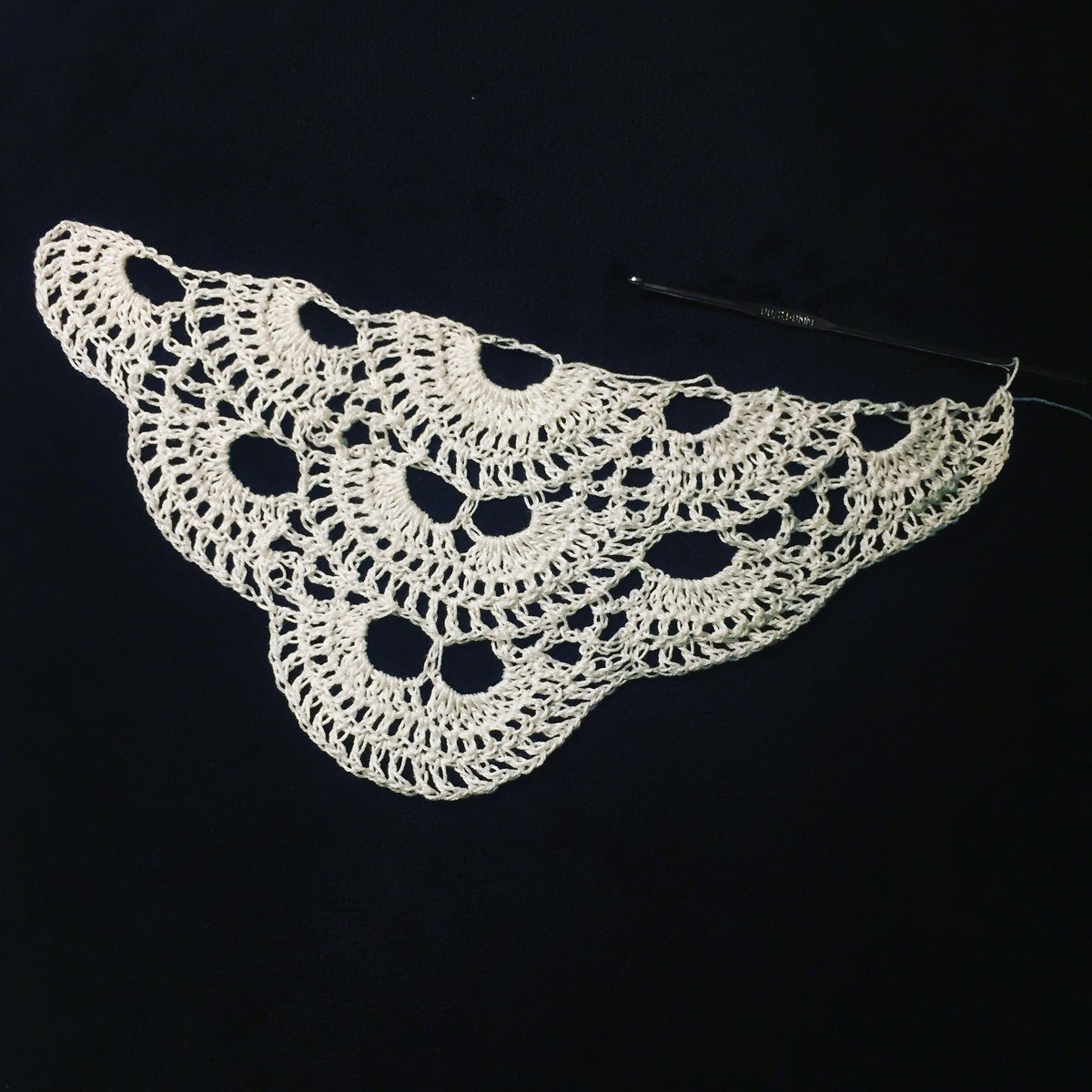 corettadeesign's tweet photo. Another newbie project. #virusshawl #crochet #thisoneisforme #beginning #wip https://t.co/BamSzxKHv3