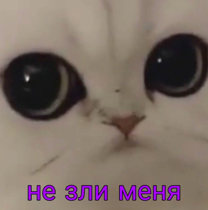 m1loN tweet media