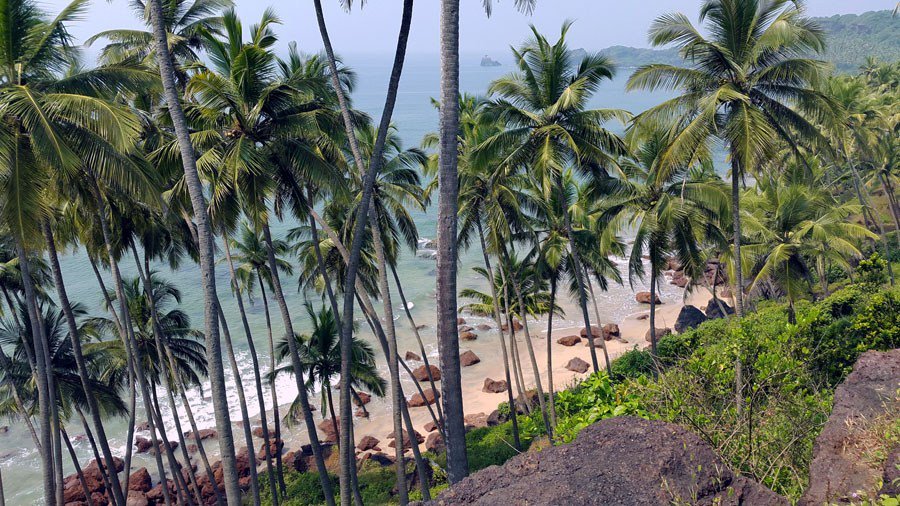 GoodLifeWithIQ's tweet photo. Thinking of a trip to Goa? Here are a few reasons why you should use Agonda as a base. Just keep in mind that many places might be closed during the off season.
#goa #india #travel #traveltips #TheGoodLifeWithIQ https://t.co/2iV2wWHrev https://t.co/brl9vvv5Ge