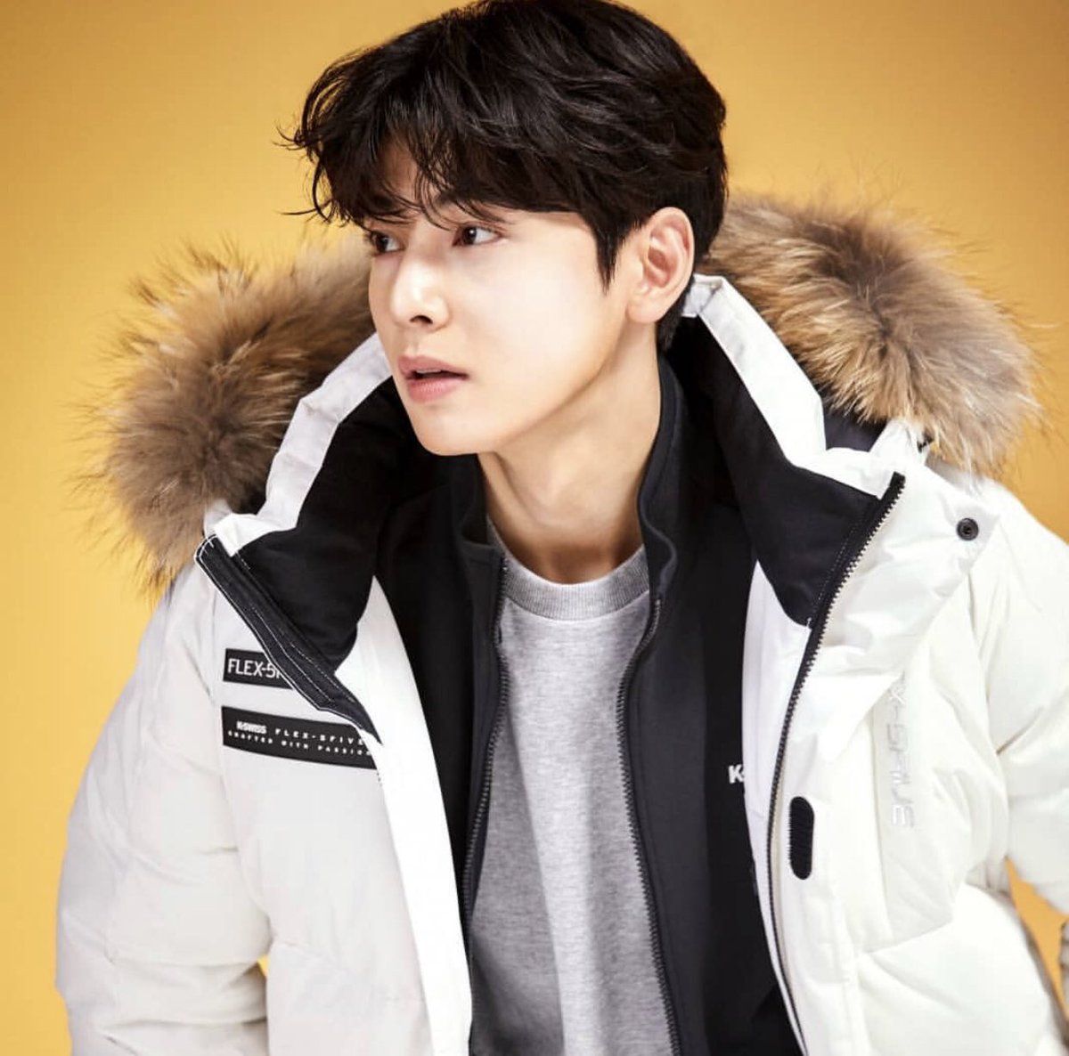 ChaeunwooTH's tweet photo. [PIC] F/W #ชาอึนอู x K-Swiss Lookbook  ✨
 
#아스트로 #ASTRO #CHAEUNWOO #이동민 #차은우 #신입사관구해령 #ชาอึนวู #ชาอึนอู @offclASTRO
📎 https://t.co/lY8jSwHQ5s https://t.co/iDgiJ9LLZZ