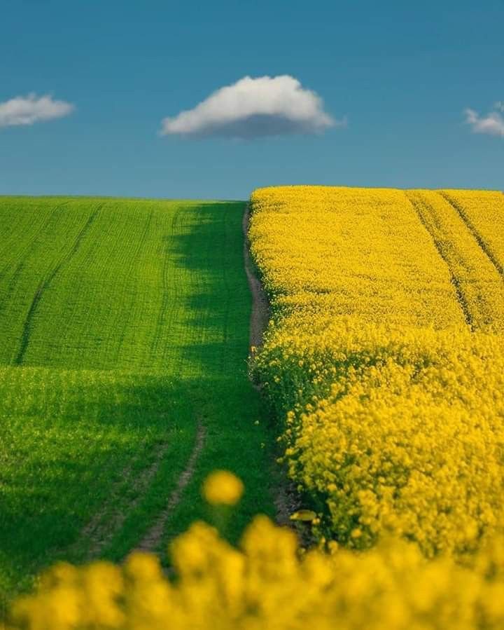 MarionSpekker tweet picture