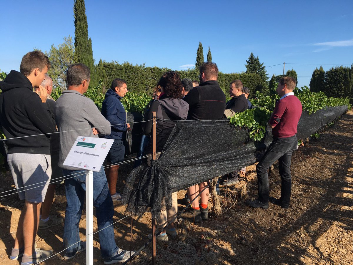 FilpackP's tweet photo. Journée portes ouvertes à piolenc avec les filets ombrage Filpack #ombrage #ombrage vigne#vignoble #echaudage https://t.co/LsGQHJiFuw