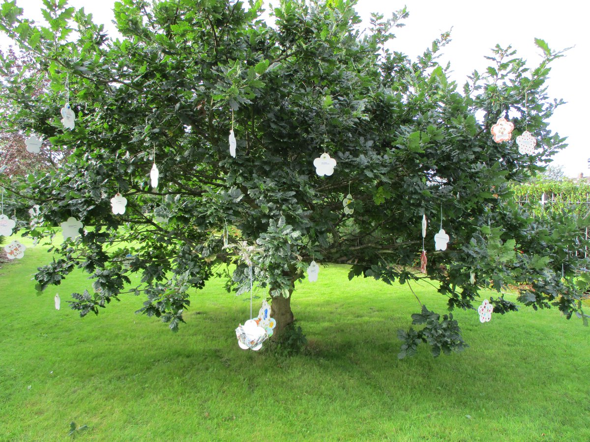 LancsLibraries's tweet photo. A great #LibraryFriends event at #FreckletonLibrary marking the 75th anniversary of the #FreckletonAirDisaster
Children made these flower tributes and hung them on an oak tree. #Freckleton https://t.co/nlmFHXdJlj