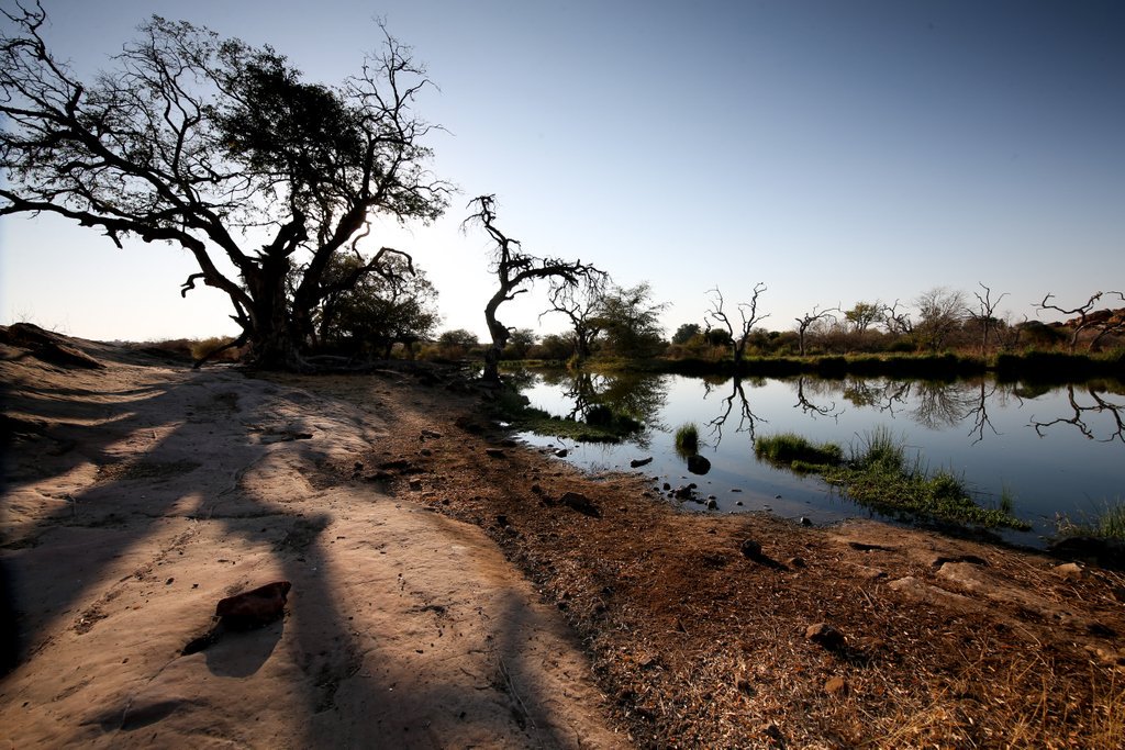 TuliLodge's tweet photo. Doesn't this just look peaceful! Email reservations@tulilodge.com to book your next visit to Tuli Safari Lodge.
Photo by Dave Southwood
#visitTuli #nature #safari #theTuliexperience #exploreAfrica #travel #holiday #Botswana https://t.co/RNj1njGCfE https://t.co/7CFT8uCiDU