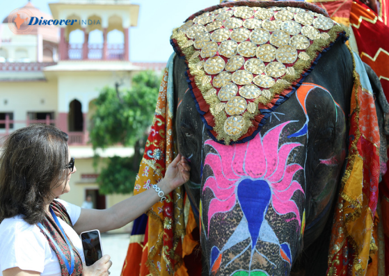 Discover_India's tweet photo. Enjoy the ride of Decorative Elephants in Jaipur. Meet Discover India Team at @IMEXAmericasLLC &amp; ITCMA #IMEX19 Booth No - C4636. For appointments, IMEX - https://t.co/SuZcn3xZGR and IT&amp;CMA - mail at nishant@discoverindia.net
#DiscoverIndia #meeting #event https://t.co/1C7YZSYjQ4