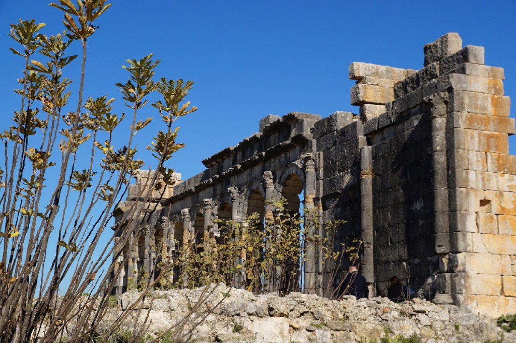 ZoomLumiere's tweet photo. Light ZOOM Lumière est partenaire média de l’association Illuminate pour Tifawine Light Contest : workshop de mise en lumière à Volubilis, patrimoine du Maroc #architecture #conceptionlumière #partenaire #concours https://t.co/hs5hLf8z24 https://t.co/9hvnMZ5kcV