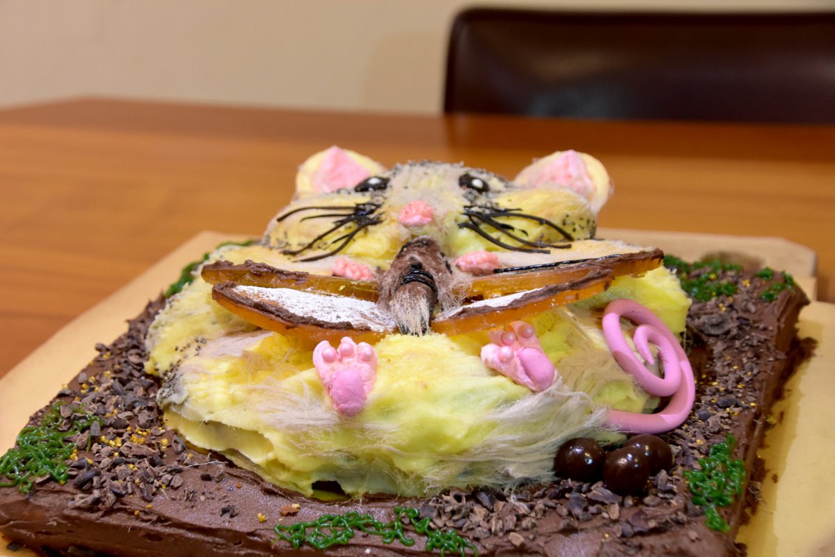 cesaraustralia's tweet photo. Our crew at @cesaraustralia and @enviro_DNA had some furry fun with our #TSBakeoff entry: The mountain pygmy possum and bogong moth. Hope to see more in the wild and not just in icing in the future #possummagic @TSCommissioner @platypusSPOT https://t.co/FuSPhzOBvj
