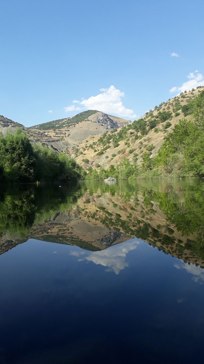 Telefonu ters çevir